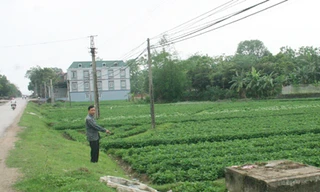 Khu đất ven tỉnh lộ 296 có nhiều sổ đỏ cùng lúc