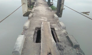 Run bần bật khi đi qua 'cầu vĩnh biệt'