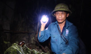 Người dân bám vách đá bắt ốc núi sau cơn mưa đầu mùa