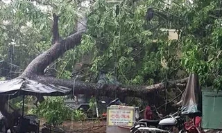 Hơn 600 căn nhà ở miền Tây bị sập, tốc mái trong mưa giông