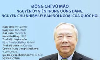 Quá trình công tác của ông Vũ Mão