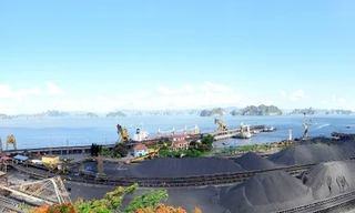 Tuyển than Cửa Ông tăng cường công tác pha trộn than nhập khẩu