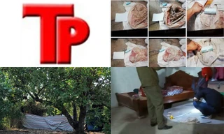 Bản tin Hình sự: Cụ bà 93 tuổi suýt bị 'yêu râu xanh' hãm hại