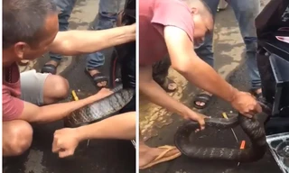 Hoảng sợ phát hiện con rắn dài 2 mét trong gầm xe máy