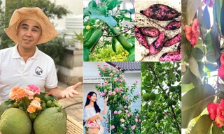Bất ngờ về khu vườn 'trong mơ' trên sân thượng của gia đình Quyền Linh 