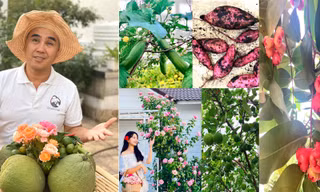 Bất ngờ về khu vườn 'trong mơ' trên sân thượng của gia đình Quyền Linh 