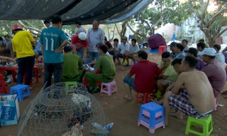 Các đối tượng tham gia đá gà