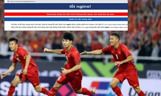 Trang bán vé online của VFF rơi vào tình trạng nghẽn mạng, thậm chí là không truy cập được. 