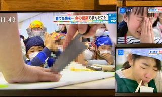 Phóng sự truyền hình Nhật dạy trẻ ăn thịt con vật mình nuôi gây tranh cãi