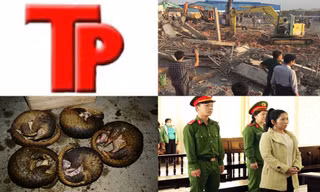 Bản tin Hình sự: Thông tin mới vụ sập tường khiến 10 người chết ở Đồng Nai