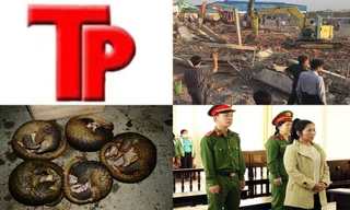 Bản tin Hình sự: Thông tin mới vụ sập tường khiến 10 người chết ở Đồng Nai