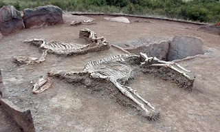 Giải mã cặp đôi 'Romeo và Juliet'' quấn quít trong cổ mộ 5.000 tuổi