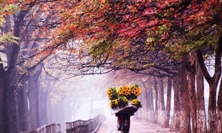 Những địa điểm chụp ảnh mùa thu đẹp đến nao lòng ở Hà Nội