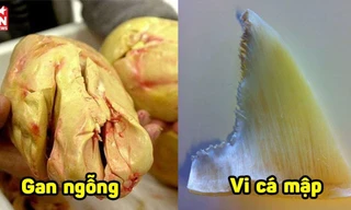 Sự thật không tưởng về 4 món ăn, thức uống đắt đỏ nhất thế giới