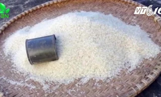 Nhận biết gạo chứa hóa chất bảo quản sinh học