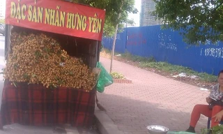 Bóc mẽ nhãn lồng Hưng Yên 'giả' hoành hành khắp Hà Nội