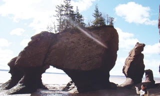 Khủng long khổng lồ (khi nước rút)