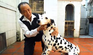 'Ta nhất định thắng thơ nhất định thua'