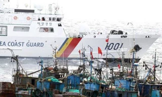 Hàn Quốc bắt 21 tàu cá Trung Quốc đánh bắt trái phép