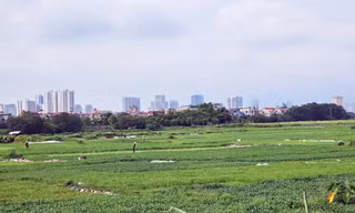 Siêu dự án khu nhà ở sinh thái Đồng Mai 'ôm' đất gần 20 năm không triển khai
