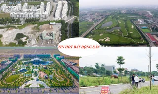 Thu hồi gần 5,3 ha đất dự án tỷ USD, điều tra phiên đấu giá đất nghi dàn xếp 