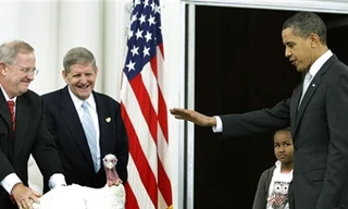 Clip: Tổng thống Mỹ tha chết cho gà tây