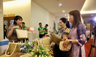 Kiều bào hiến kế để hàng Việt 'cất cánh' 