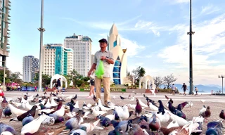 'Bảo mẫu' nuôi chim bồ câu ở Quảng trường 2/4 Nha Trang
