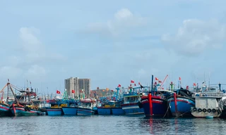 Khánh Hòa, Phú Yên kêu gọi tàu thuyền vào bờ tránh áp thấp nhiệt đới