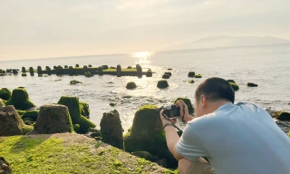 Tận thấy thảm rêu xanh mướt có ‘một không hai’ ở Nha Trang