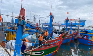 Thủ tướng yêu cầu ứng phó với bão Trà Mi theo phương châm 'bốn tại chỗ'