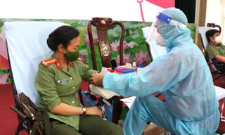 Ấm áp giọt hồng đầu xuân trên đất Tây Đô