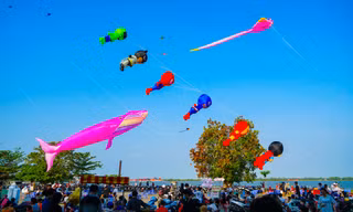 Những cánh diều no gió giữa lòng Tây Đô