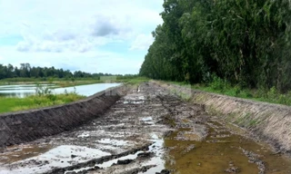 Sân đua bò 'chui' 20.000m2 trên đất nông nghiệp được xử lý như nào?