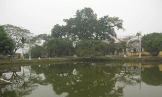 Về làng Nôm, tìm sự yên bình nơi làng Việt cổ