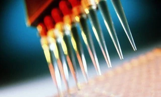 Những bệnh về máu nguy hiểm