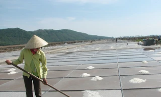 Diêm dân bỏ nghề