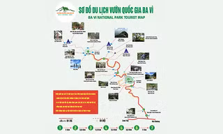 Bạn trẻ tham gia giải leo núi Vườn quốc gia Ba Vì chào mừng Tháng Thanh niên