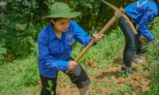 Ban Bí thư Trung ương Đoàn yêu cầu thực hiện nghiêm an ninh, an toàn hoạt động tình nguyện
