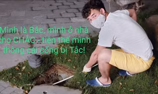 Nghệ sĩ Xuân Bắc hưởng ứng trào lưu ghép tên "Ở nhà là yêu nước", với thông điệp kêu gọi mọi người hạn chế ra đường để phòng chống dịch COVID -19