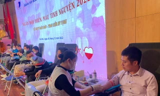 Hàng trăm bạn trẻ xếp hàng hiến máu trong ngày Hà Nội lạnh giá
