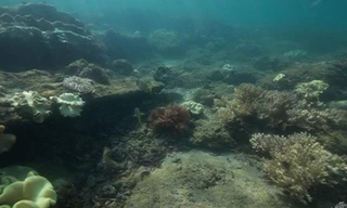 Các nhà khoa học phát hiện một thành phố bị chìm ở ngoài khơi đảo Mafia, Tanzania. Ảnh: Alan Sutton.