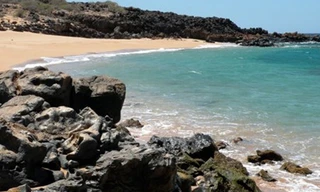 Đảo Lanai sở hữu những bãi biển tuyệt đẹp