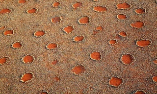 Vòng tròn thần tiên ở châu Phi. Ảnh: Danita Delimont Creative/Alamy Stock.