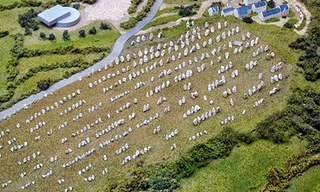 Những hòn đá Carnac nhìn từ trên cao. Ảnh: truthcontrol