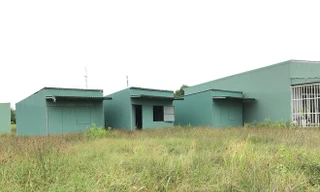 Cảnh báo tình trạng 'phân lô bán nền' trên đất công ở TPHCM