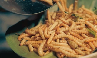 Khách Tây 'toát mồ hôi' nếm thử đặc sản nhung nhúc, béo ngậy ở Việt Nam