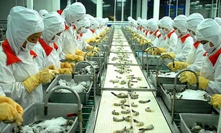 Cảnh giác với các vụ kiện thương mại