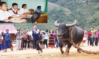 Cán bộ xã Gary đã bớt tiệc tùng để mua và học sử dụng máy tính (ảnh nhỏ); Gary - nơi sinh sống của nhiều bà con dân tộc Cơ Tu với văn hóa phong phú, trong đó có lễ hội đâm trâu. Ảnh: Nguyễn Thành