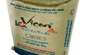 Vicem Hoàng Thạch, Vững vàng trên đẳng cấp cao